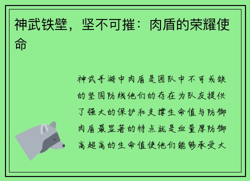 神武铁壁，坚不可摧：肉盾的荣耀使命